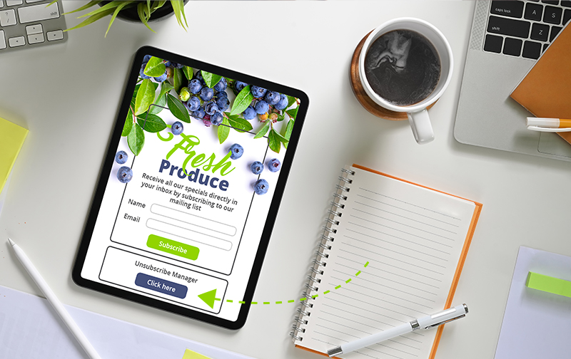 11 Subscription Form Tips for High-Performing Email Campaigns | Email marketing | Everlytic | Unsubscribe button on opt-in form